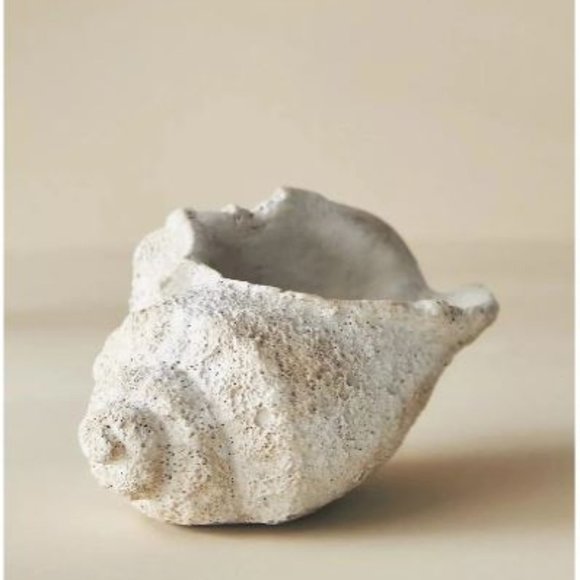 Anthropologie Seascape Cement Shell Vessel Planter NEW - Picture 2 of 2